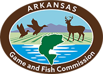 Kidscamplogo4 Arkansas Game And Fish Commission