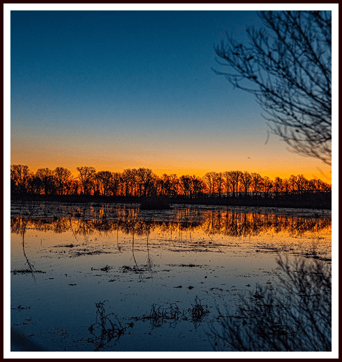 Why Membership Matters